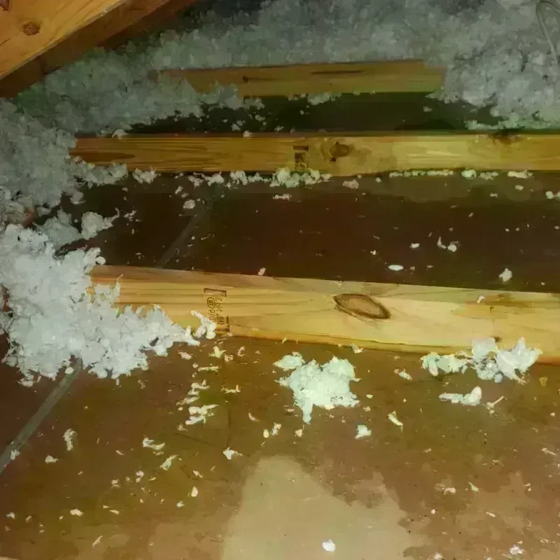 Attic Water Damage in South Pottstown, PA